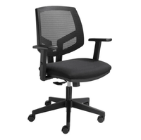 Zwart mesh