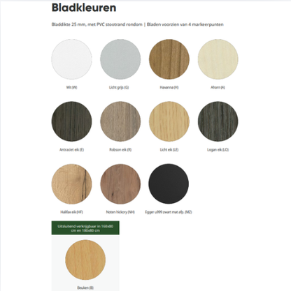 bladkleuren voor zit-sta bureau